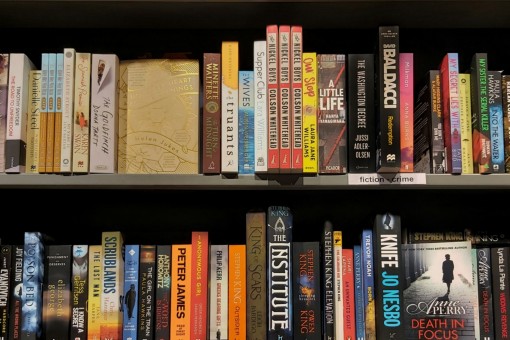 Fiction book recommendations