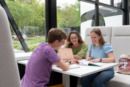 Drie studenten werken samen aan een project.