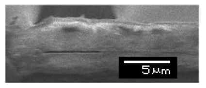 Figure 1: cross-sectional SEM picture of a polyimide nanochannel
