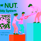 P-NUT Buddy System is Live
