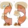NeuroSIPE: PaINSIGHT - CLosed loop identification of the nociceptive system