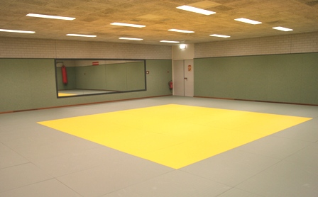 http://www.sport.utwente.nl/content/afbeeldingen/img_4191-klein.jpg