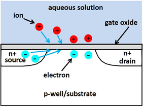 M:\docs\NCISFET\ISFET.jpg