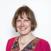 dr.ir. D. van de Belt (Dorien)