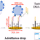 Article published from the research group of Jurriaan Huskens in Nano Letters