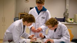 Ontdek lab on a chip