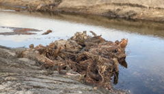 Figure 1 Examples of some nature-based interventions - wood at the side of streams