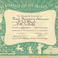 Curriculum vitae NL