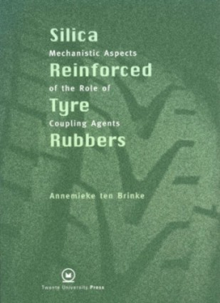 Thesis of Annemieke ten Brinke