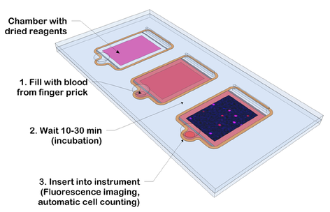D:\PhD\Documents\Posters\chip.png