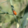 Tweede editie fototentoonstelling 'Natuur in Beeld'