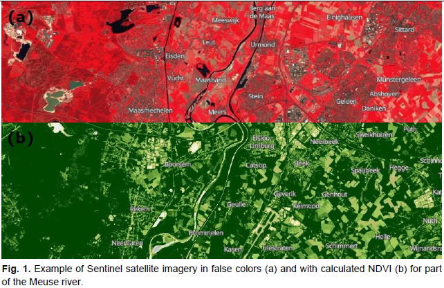 Fig. 1. Example of Sentinel satellite imagery in false colors (a) and with calculated NDVI (b) for part of the Meuse river.