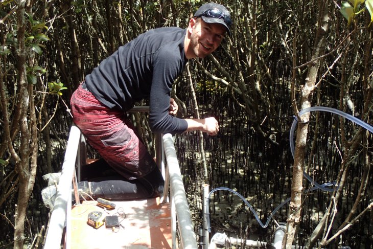 Erik Horstman in the mangroves at Firth of Thames
