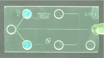 Typical glass capillary electrophoresis chip (3 x 1.5 cm). The fluidic channels and the round liquid compartments can clearly be seen. The blue metal pads are used to connect with the external electronics.