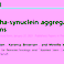 New paper published: Journal of Biological Chemistry: Cross-seeding of alpha-synuclein aggregation by amyloid fibrils of food proteins.