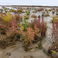 STAR interview: making the Wadden Sea a SALTGARDEN