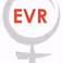 Interactieve Conferentie Enschedese Vrouwen Raad, March 23th