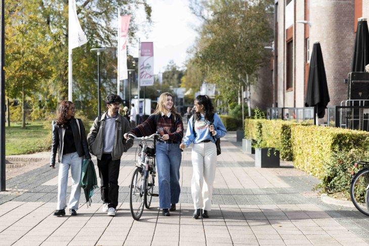 A group of students walks along the boulevard on campus.