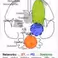 NeuroSIPE: The movement diagnostic system
