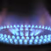 Energy transition: pure bio-gas from pilot with 'modified cat litter pellets'