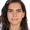 Picture of N. Nazemzadeh MSc (Nogol)