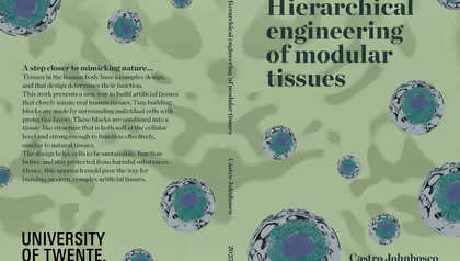 Promotie Castro Johnbosco | Hierarchical engineering of modular tissues