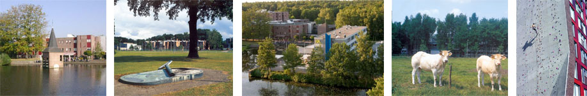 AFPM2011 