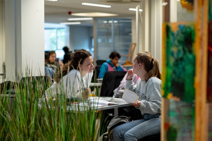 Two students are working together in the library.