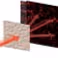 Paper on wave correlations  published in Nature Physics