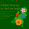 Promotie Adedapo Aladegbaiye | Global Flowers in the Lowlands | Exploring Acculturation Experiences of International Students in Dutch Higher Education
