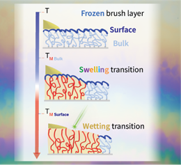 A diagram of layers of skin

AI-generated content may be incorrect.