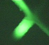 Electrokinetic sample manipulation in the chip. A sample plug is formed for the separation of the cations in an electric field. The migration differences of the individual ions will be the basis for the detection in a low conductivity buffer.