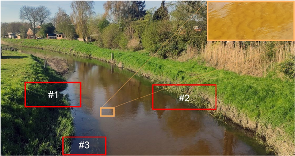 Different types of riparian vegetation affecting the flow in the River Dinkel (obtained from Denkers, 2023)