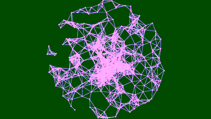 network - DAMUT logo