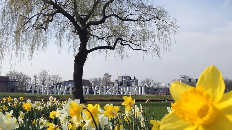 Bloemen op de campus