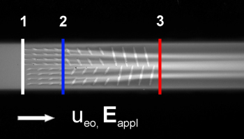 Ion-manipulation