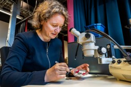 Researcher Sissi de Beer is working on her research