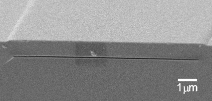 &#10;&#10;&#10;&#10;&#10;                                               1D nanochannel
