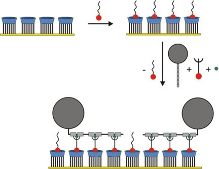 Inhibition of nonspecific protein interactions on the molecular printboard.