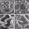 MCS publishes in Advanced Materials