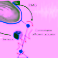 REFLEX LEG: Control of leg prostheses through bidirectional information exchange with the body