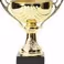 Science Communication Award by Diederik & Marcel
