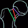 2017 - ongoing Optimal care for frail elderly with a hip fracture:decision support for surgery
