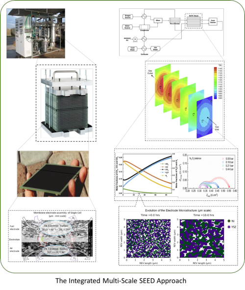 Integrated multi-scale SEED approach