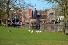campus