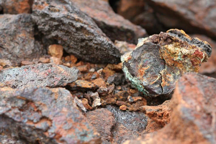 Minerals in a rock