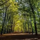 2 mei: Wandeling Hof Espelo