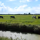 Workshop: Regenereren van duurzame voedselsystemen in Oost-Nederland
