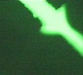 Electrokinetic sample manipulation in the chip. A sample plug is formed for the separation of the cations in an electric field. The migration differences of the individual ions will be the basis for the detection in a low conductivity buffer.