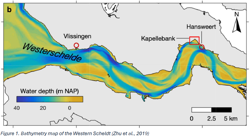 Bathymetry map of the Western Scheldt